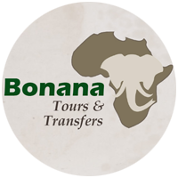 Bonana Tours Logo